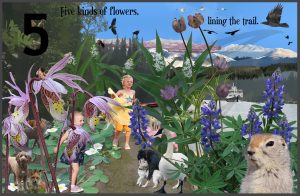 Five kinds of flowers, lining the trail.