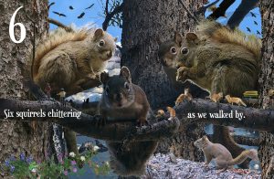 Six squirrels chittering as we walked by.